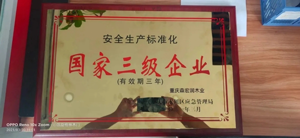 森宏润木业重磅出击，签约著名歌手金莎为品牌形象大使