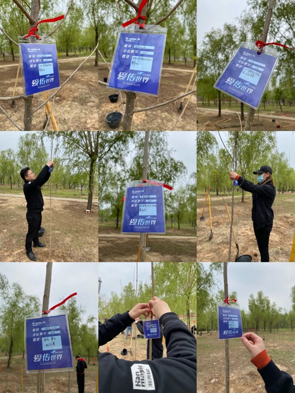 瀚美居全屋定制丨种下希望—第六届植树活动圆满成功!