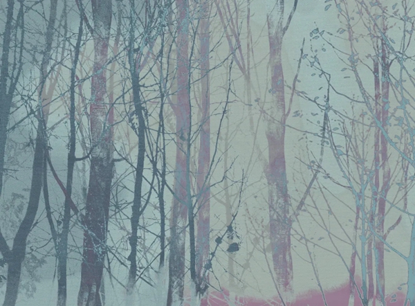 领绣墙布|空灵透纱,独画枝桠,浩然提花缀自然,着墙启新品 领绣墙布|空灵透纱,独画枝桠,浩然提花缀自然,着墙启新品