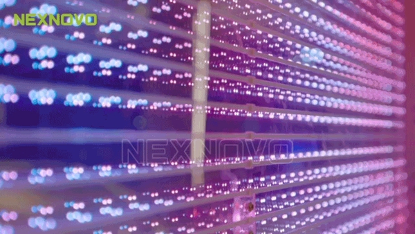坚朗五金:晶泓贴膜屏NW系列高光献映“星光美学”