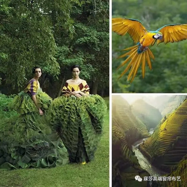 寐莎窗帘布艺|迎光而生，点燃夏日悸动！