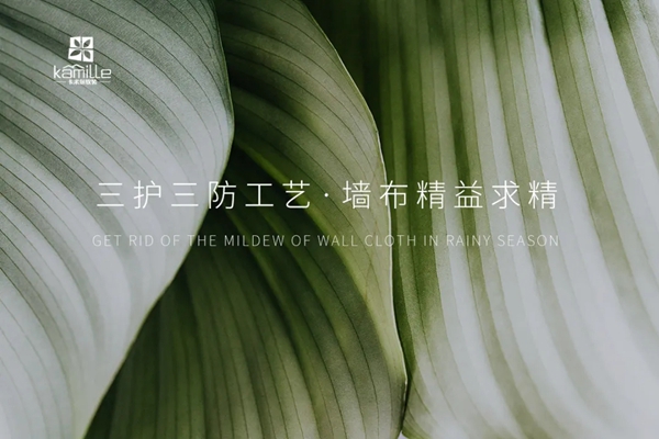 墙布该如何正确施工，卡米尔墙布来告诉你！