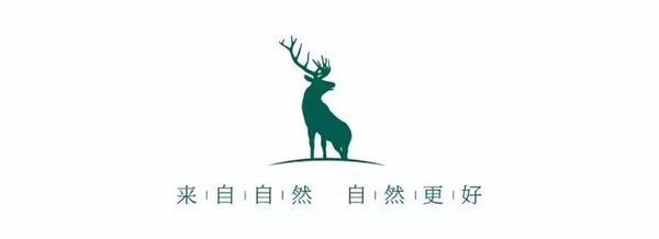 威尔氏木门丨做好良好的品牌形象