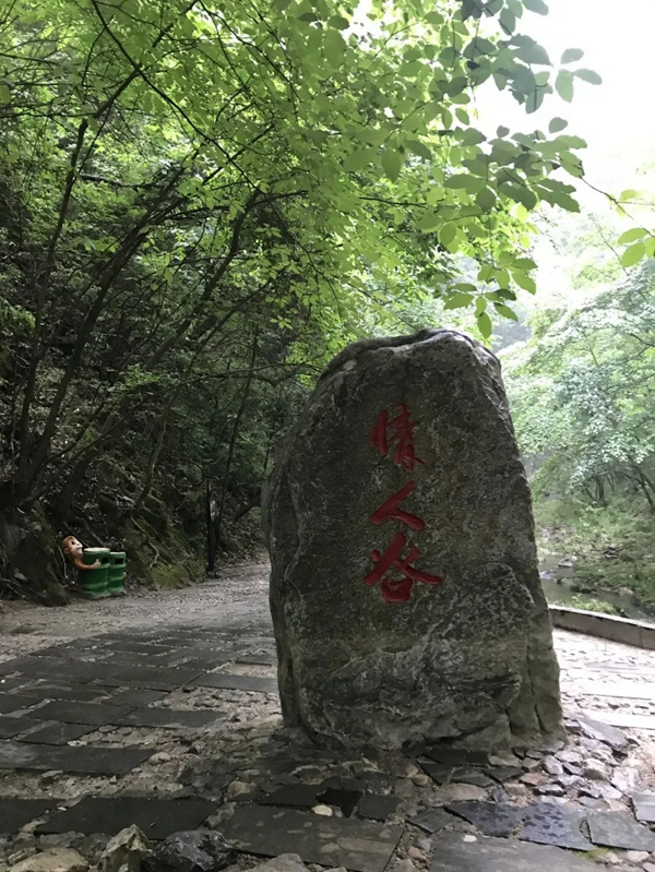 平凹国际家居 | 青春有梦，不负时光，共赏湖光山色！