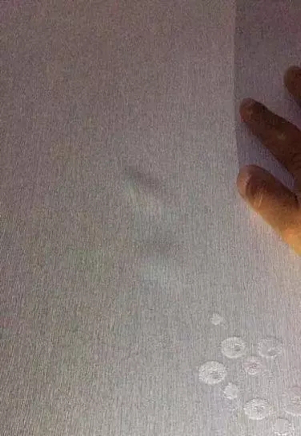 恩格美干货分享—墙布知识大百科