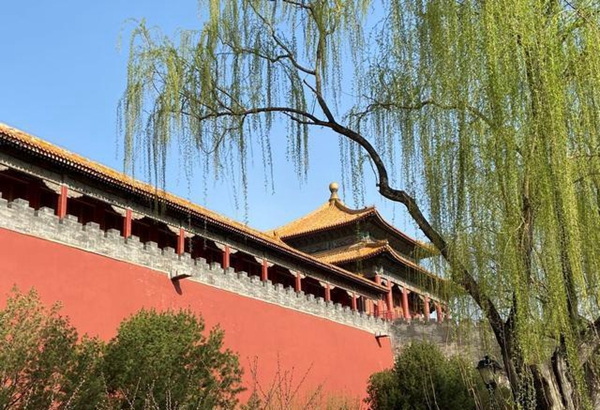 优品俪嘉国潮上新|绿黛红颜两相宜