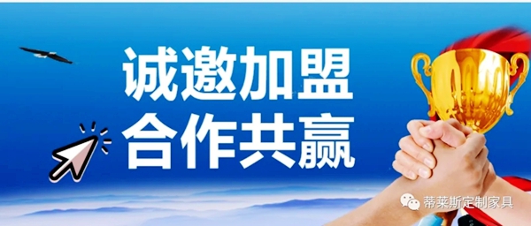 蒂莱斯全屋定制：融合美感设计与品质魅力的高端全屋定制品牌
