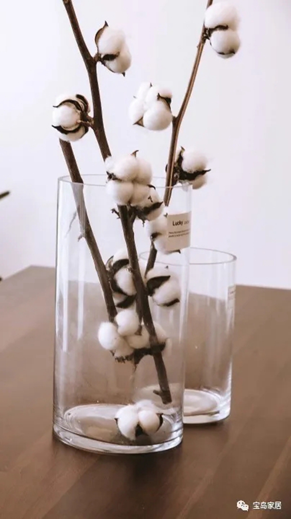 宝岛家居新品：INS风网红搭配，这才是最接近生活的时尚