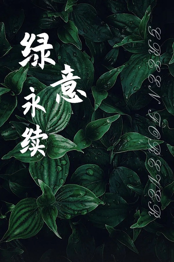 Z-home致居：绿意永续
