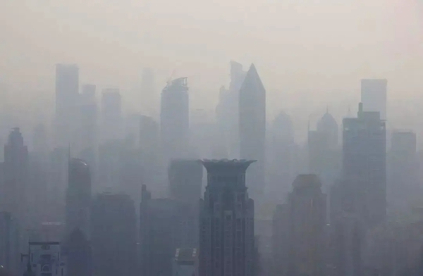 汇和美轩|520 为爱献礼，给TA最贴心的健康守护！