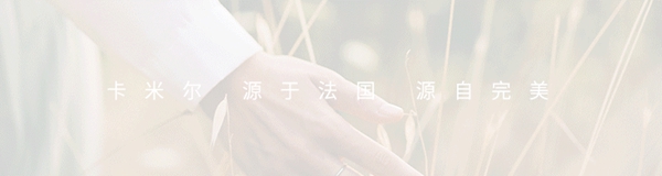 卡米尔墙布传承法式完美基因，造就人居美学生活方式