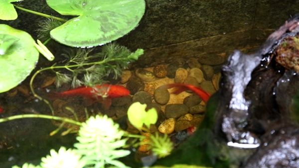 丽维家全屋定制｜成都夫妇花160万，2年时间打造450㎡美墅