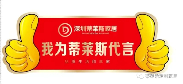 蒂莱斯全屋定制：融合美感设计与品质魅力的高端全屋定制品牌
