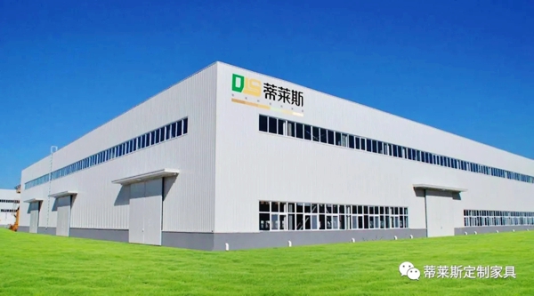 蒂莱斯全屋定制：融合美感设计与品质魅力的高端全屋定制品牌