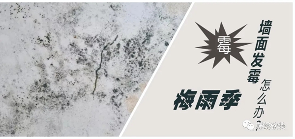 蝶绣软装梅雨季墙布保养方法 让墙布远离“霉烦恼”