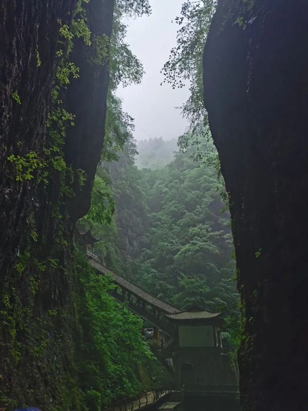 平凹国际家居 | 青春有梦，不负时光，共赏湖光山色！