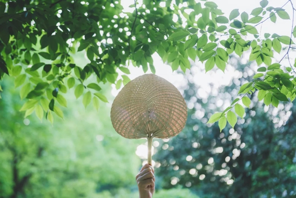 魅派梦想家·带你住进宫崎骏动画的夏天