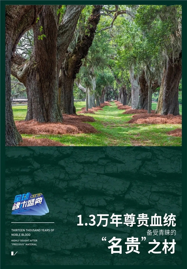 久盛地板橡木盛典，带你体验优雅生活