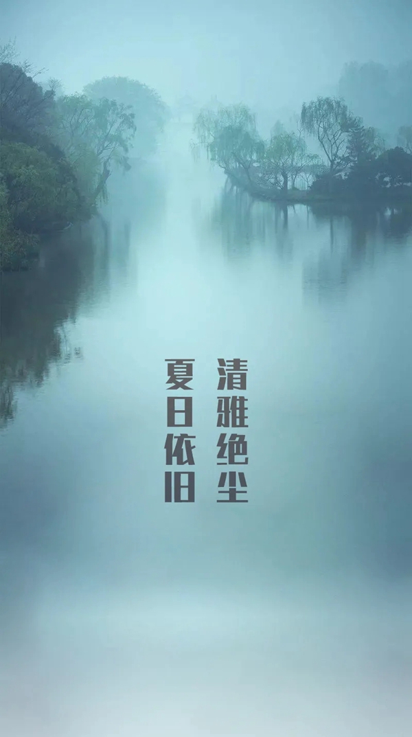 中天家居|仲夏夜里的轻快梦境