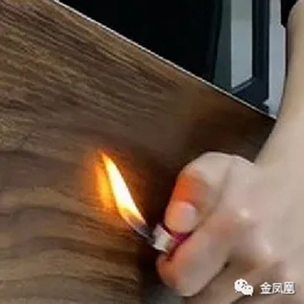 金凤凰软装：装饰性强且富有创意的新饰界——墙咔壁画