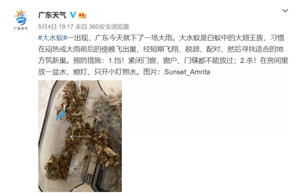 穗福门窗：家有推拉窗，怎阻止夏日大水蚁入屋？