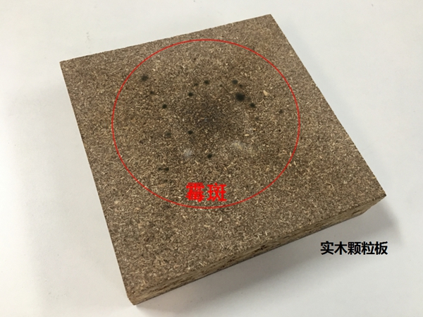 顶固全屋定制|家里这个致敏源,大多数人都忽视了