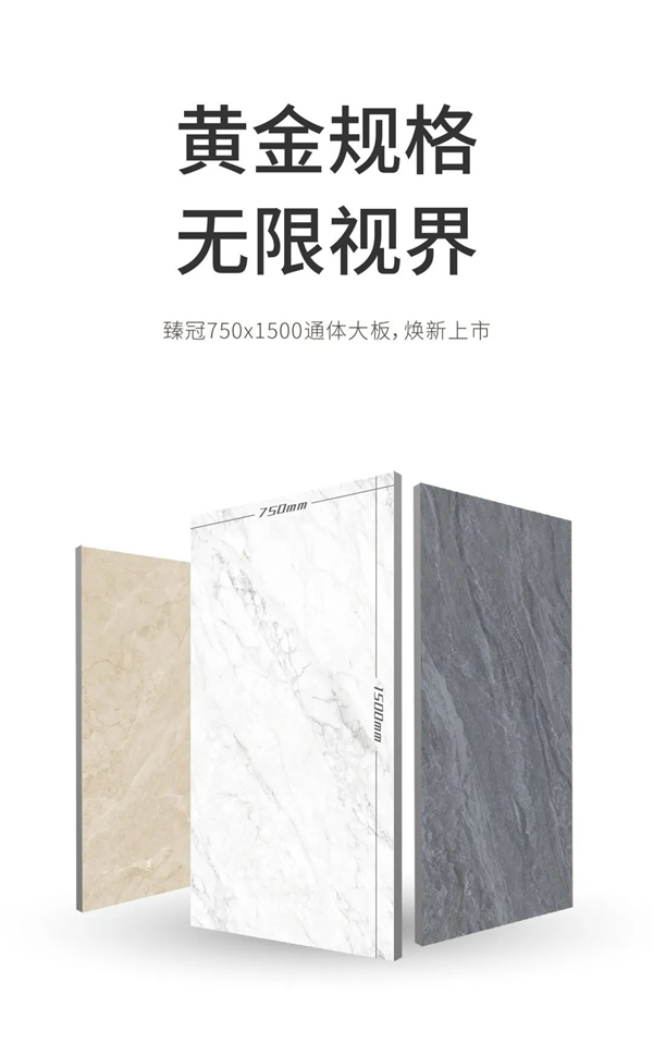 新中源陶瓷丨黄金规格 无限视界
