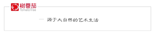 树番茄高端全屋定制|万物之始，大道至简