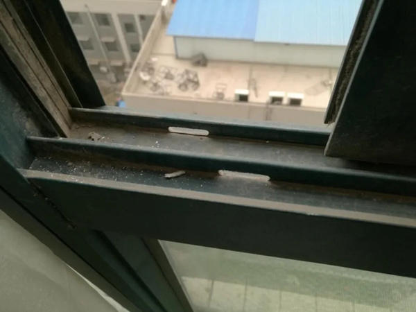 穗福门窗：家有推拉窗，怎阻止夏日大水蚁入屋？