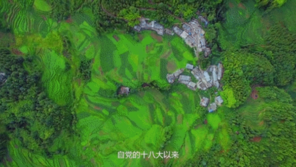 法迪奥不锈钢艺术家居|从投资角度浅谈橱柜加盟前景
