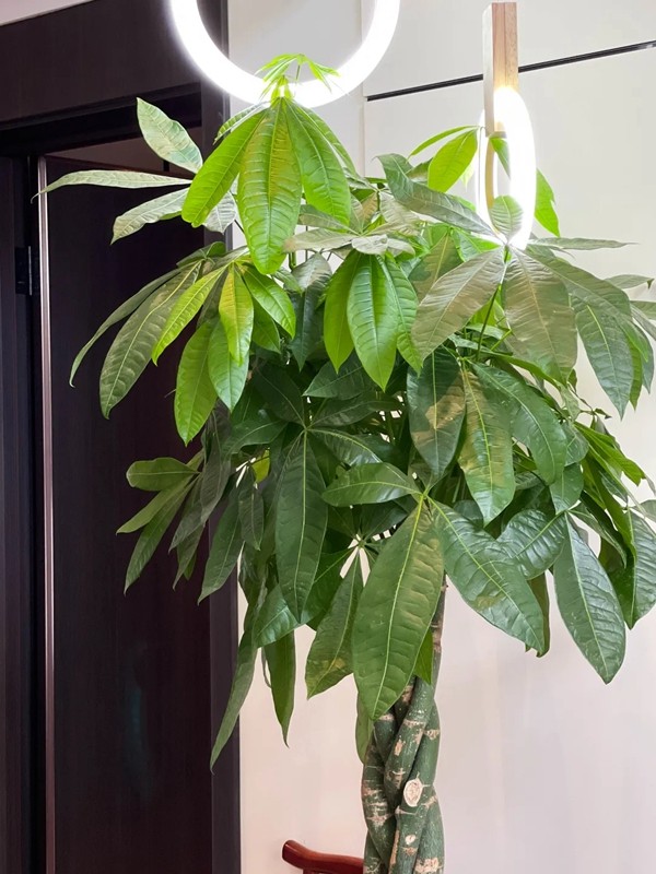 科凡全屋新奢定制丨当毛坯遇上复式，颠覆住宅设计主流理念！