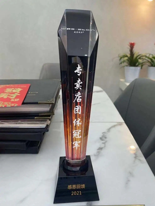 威普斯丹艺术涂料优秀经销商全国联动活动圆满落幕！