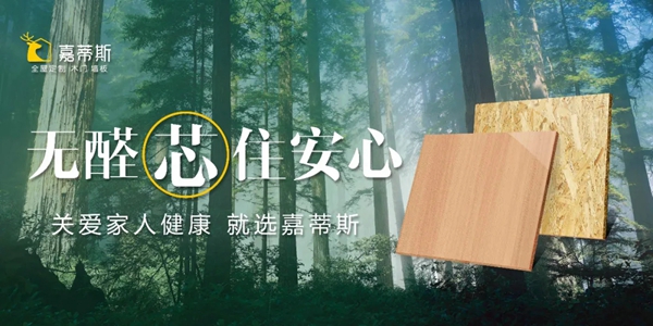 嘉蒂斯全屋定制全屋案例 |游走奢简，赋予空间的美感