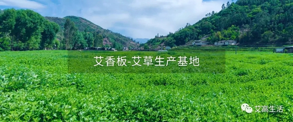 艾高家居艾香板 | 新型抗菌益体健康板材，让家 “艾” 意满满。