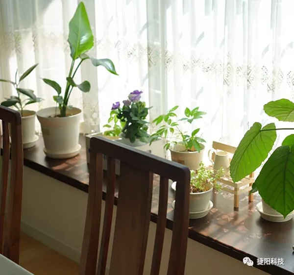 捷阳门窗：飘窗的5种“加”法