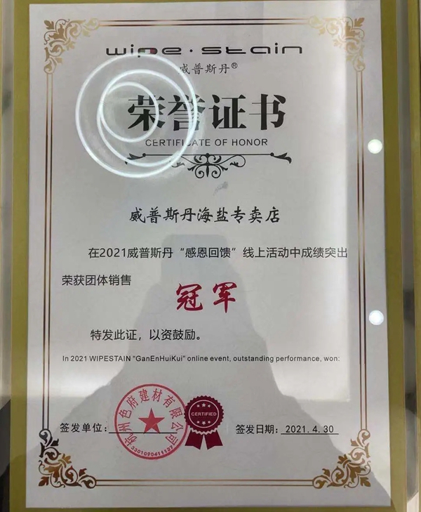 威普斯丹艺术涂料优秀经销商全国联动活动圆满落幕！