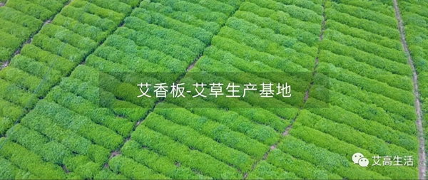 艾高家居艾香板 | 新型抗菌益体健康板材，让家 “艾” 意满满。