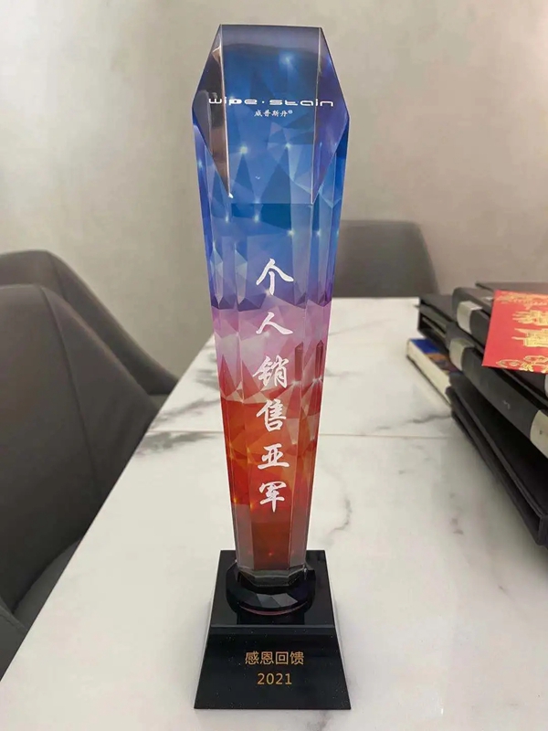 威普斯丹艺术涂料优秀经销商全国联动活动圆满落幕！