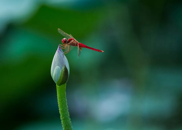 绣工坊 | 夏至遇上父亲节，绣工坊给你清凉一夏！