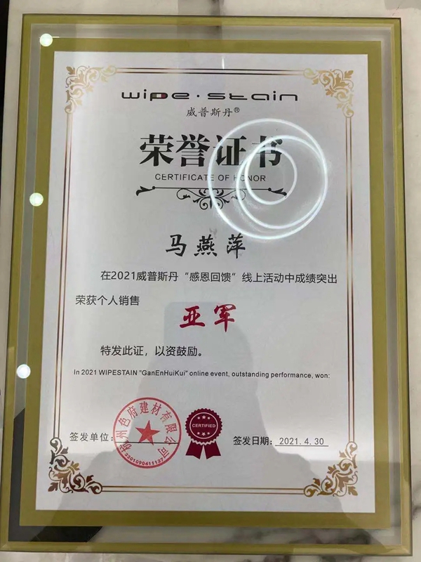 威普斯丹艺术涂料优秀经销商全国联动活动圆满落幕！