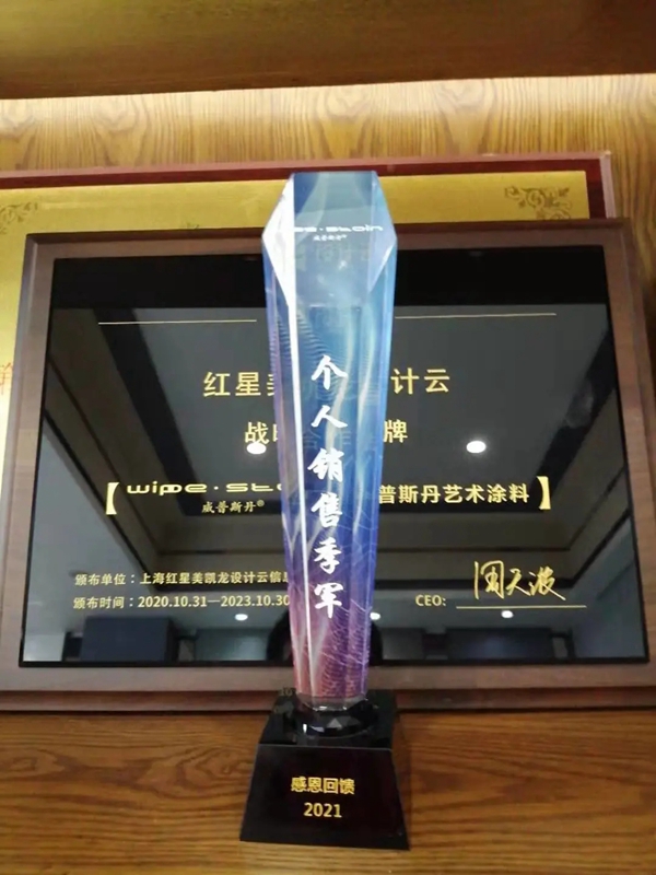 威普斯丹艺术涂料优秀经销商全国联动活动圆满落幕！