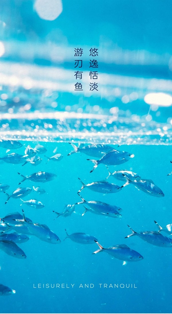 米兰壁纸·墙布·窗帘：随心而动 无鱼伦比