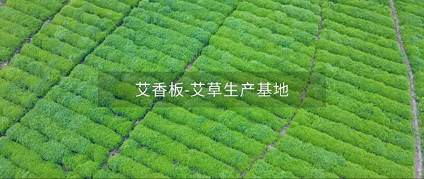 艾高家居| 新型抗菌益体健康板材,让家 “艾” 意满满。 艾高家居| 新型抗菌益体健康板材,让家 “艾” 意满满。