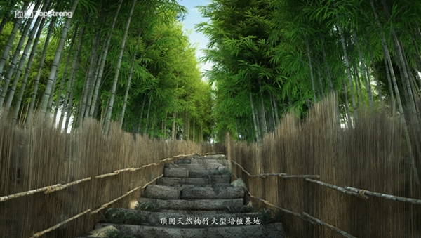 顶固全屋定制第三代净纯竹香板：纯竹香，鲜呼吸