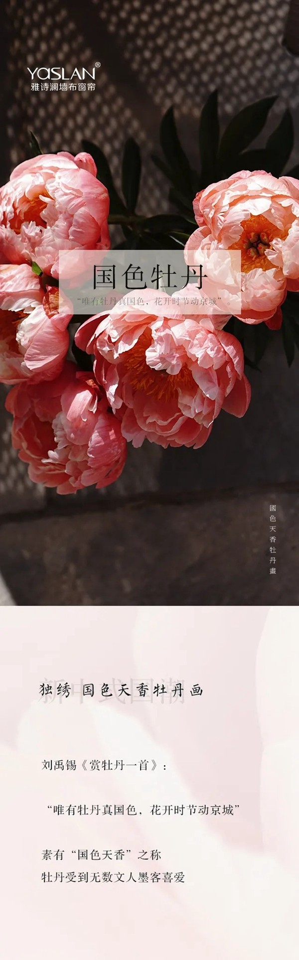 雅诗澜墙布窗帘：国色天香牡丹画，为家居空间增添色彩