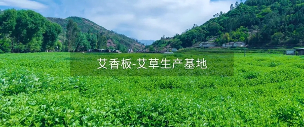 艾高家居| 新型抗菌益体健康板材,让家 “艾” 意满满。 艾高家居| 新型抗菌益体健康板材,让家 “艾” 意满满。