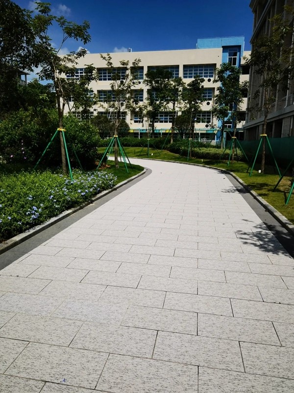 匠心品质｜马可波罗陶瓷为东莞优质教育工程添彩