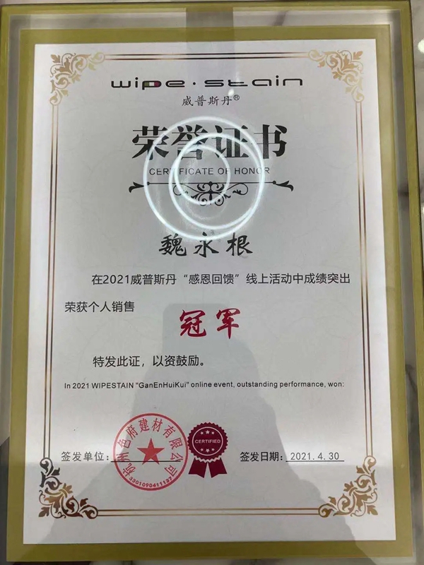 威普斯丹艺术涂料优秀经销商全国联动活动圆满落幕！