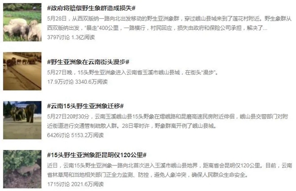 顶固全屋定制第3代净纯竹香板,6月20日见!