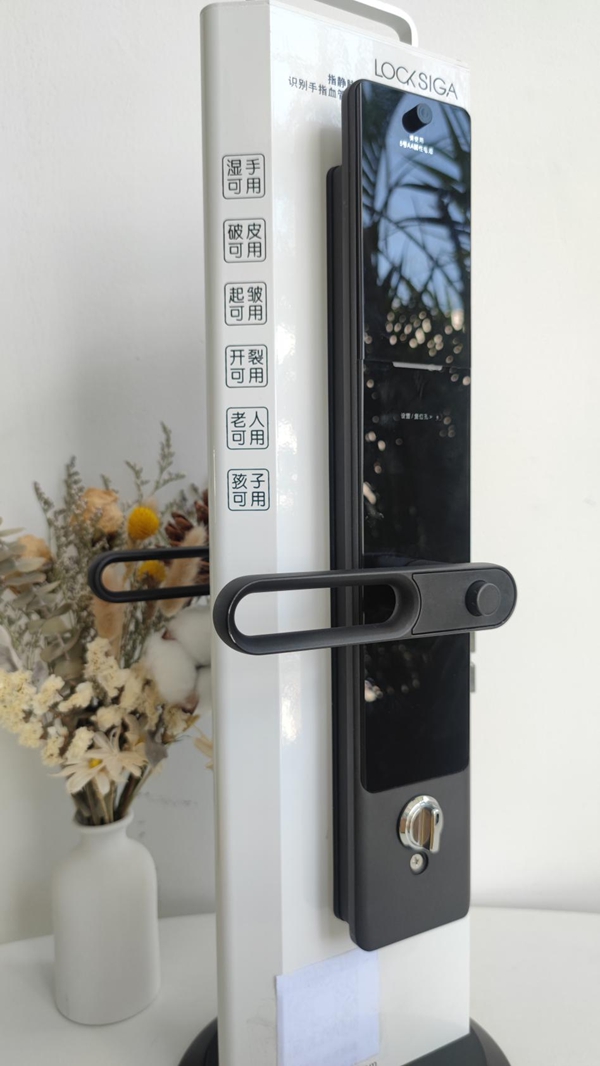 拔草|老人小孩都好用的智能锁:LOCKSIGA洛克思格A1测评